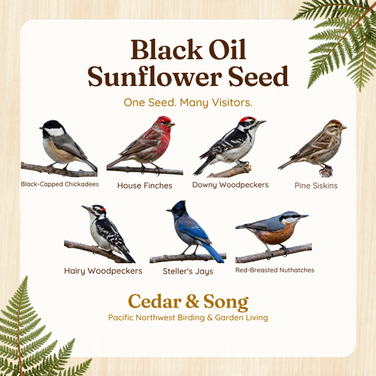 Cedar & Song Black Oil Sunflower Seed
