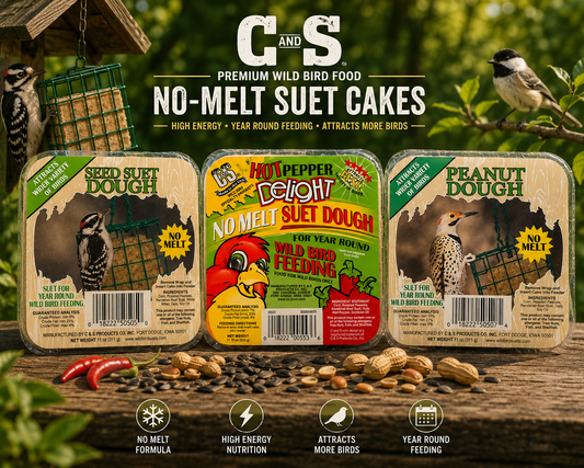 Cedar & Song Bird Feeding Starter Kits | Seed, Suet & Treats for Backyard Birds