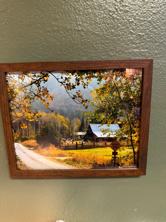 Bring the warmth of autumn countryside into your home with this 8×10 framed photograph featuring a winding country road, golden foliage, and a rustic farm setting. A timeless landscape piece for nature lovers and cozy seasonal decorating