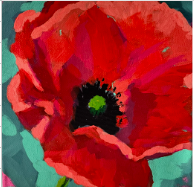 Scarlet Poppy | Original Acrylic Painting by Kristy McDonald