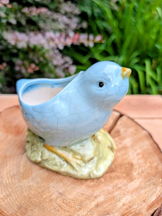 Add a touch of vintage charm to your home with this delightful blue ceramic chick planter. Featuring a soft crackle glaze and hand-painted details, it's the perfect size for a succulent, small plant, or seasonal display.