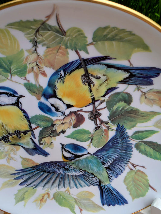 Celebrate the beauty of European wildlife with this 1985 WWF Blaumeise collector plate by renowned wildlife artist Ursula Band. Crafted by Alt Tirschenreuth in Germany with a 22-karat gold rim, this first issue in the European Songbirds series makes an elegant addition to any bird lover's or nature-inspired home.