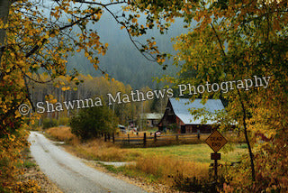 Autumn Leaf-Lined Country Road — Framed Photograph, 8 × 10