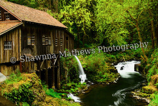 Mill & Waterfall in the Forest — Framed Photograph, 8 × 10