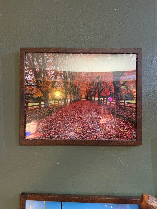 Bring the beauty of autumn indoors with this warm 11×14 framed landscape print. A tree-lined country road, glowing fall foliage, and rich seasonal color create a peaceful focal point for a home, office, or reading nook.