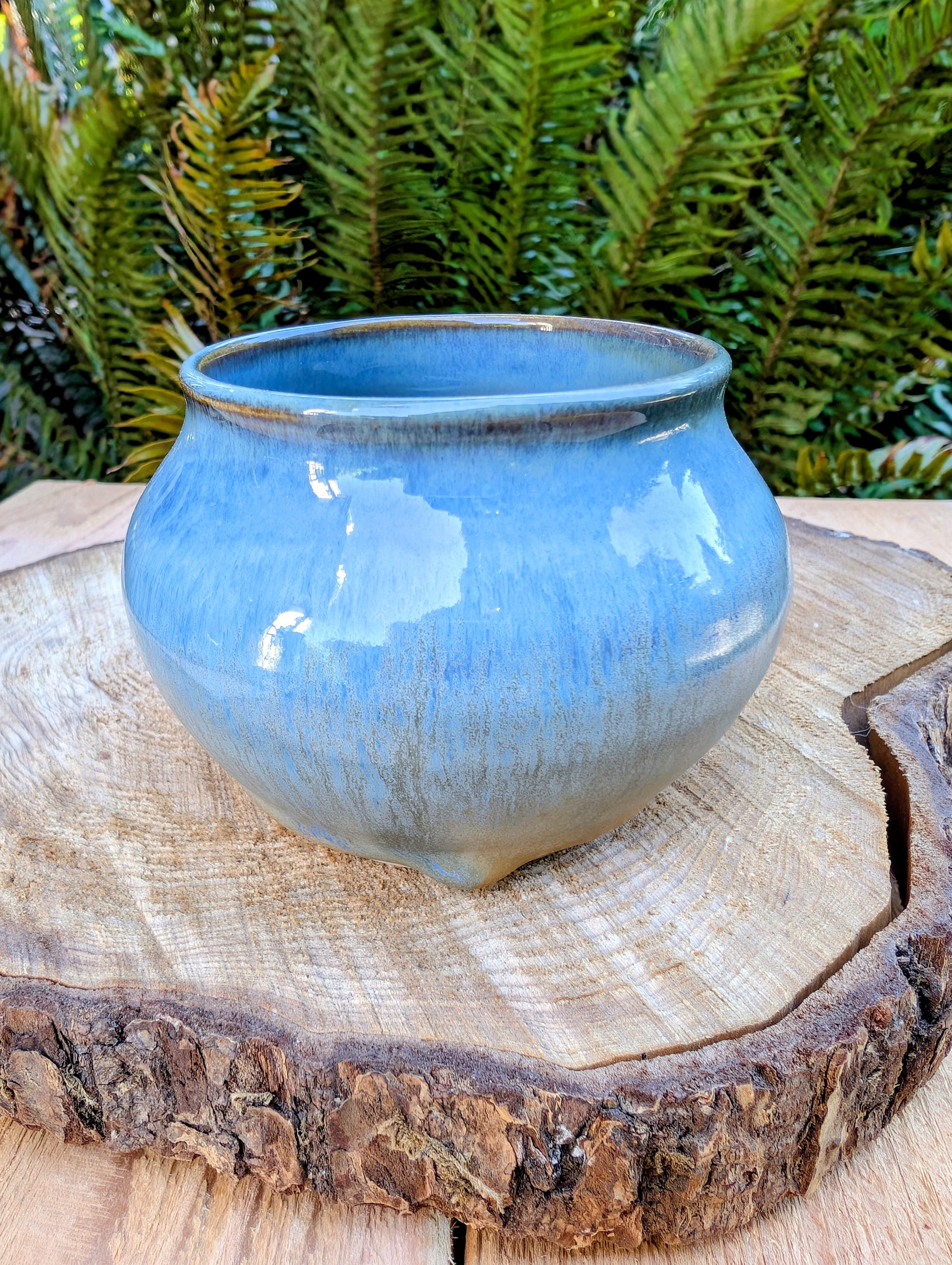 Blue ceramic pot on a wooden surface with green foliage in the background