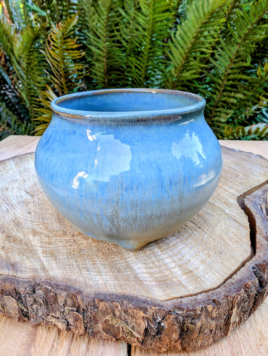 Blue ceramic pot on a wooden surface with green foliage in the background