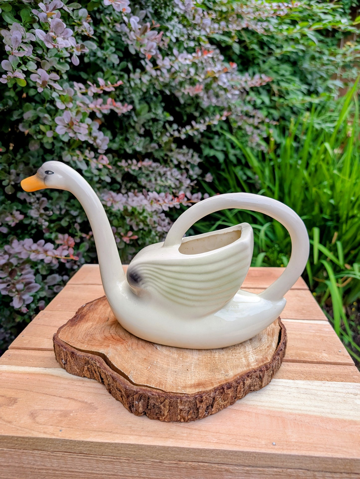 A charming 1950s Nouvelle Pottery swan watering pitcher that blends sculptural beauty with everyday function. Finished in a soft ivory glaze with hand-painted details, this Mid-Century ceramic piece is equally at home caring for houseplants or displayed as timeless vintage décor.