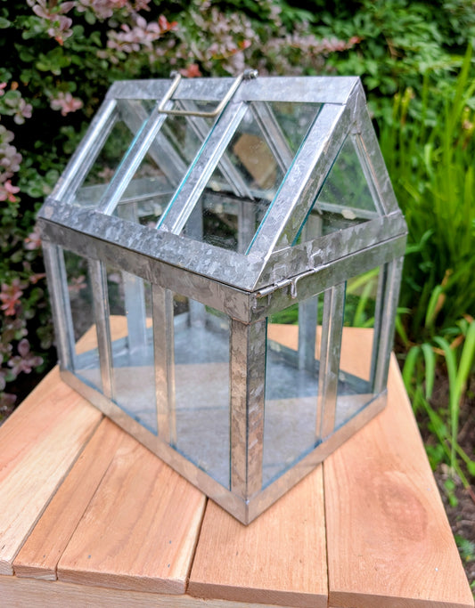 Decorative Galvanized Glass Tabletop Greenhouse Terrarium Display Case with Hinged Roof | Modern Farmhouse Botanical Décor