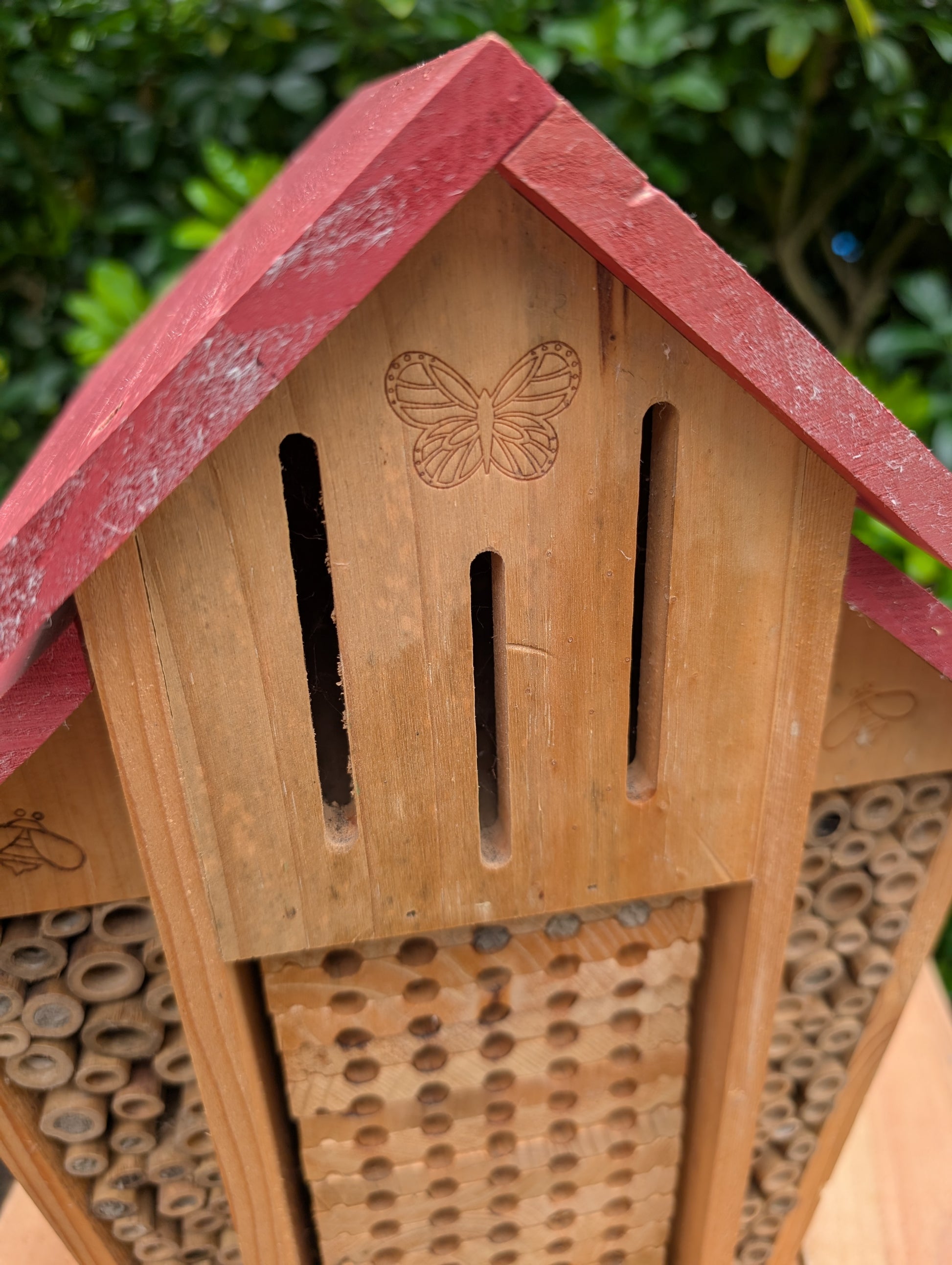 Create a welcoming refuge for native pollinators with this multi-chamber wooden insect hotel. Designed for solitary bees, butterflies, and other beneficial insects, it brings both natural beauty and ecological purpose to any garden or patio.