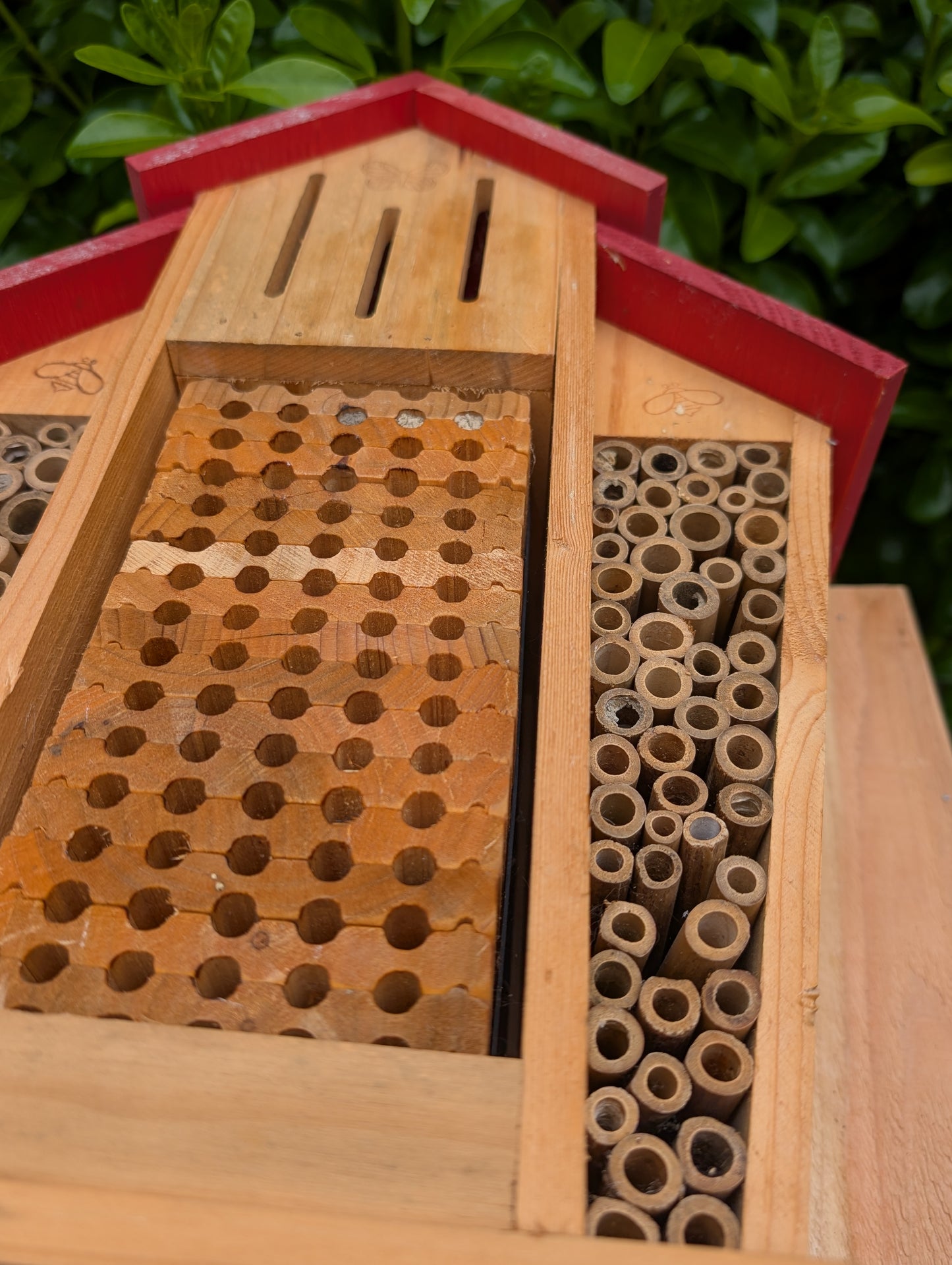 Create a welcoming refuge for native pollinators with this multi-chamber wooden insect hotel. Designed for solitary bees, butterflies, and other beneficial insects, it brings both natural beauty and ecological purpose to any garden or patio.