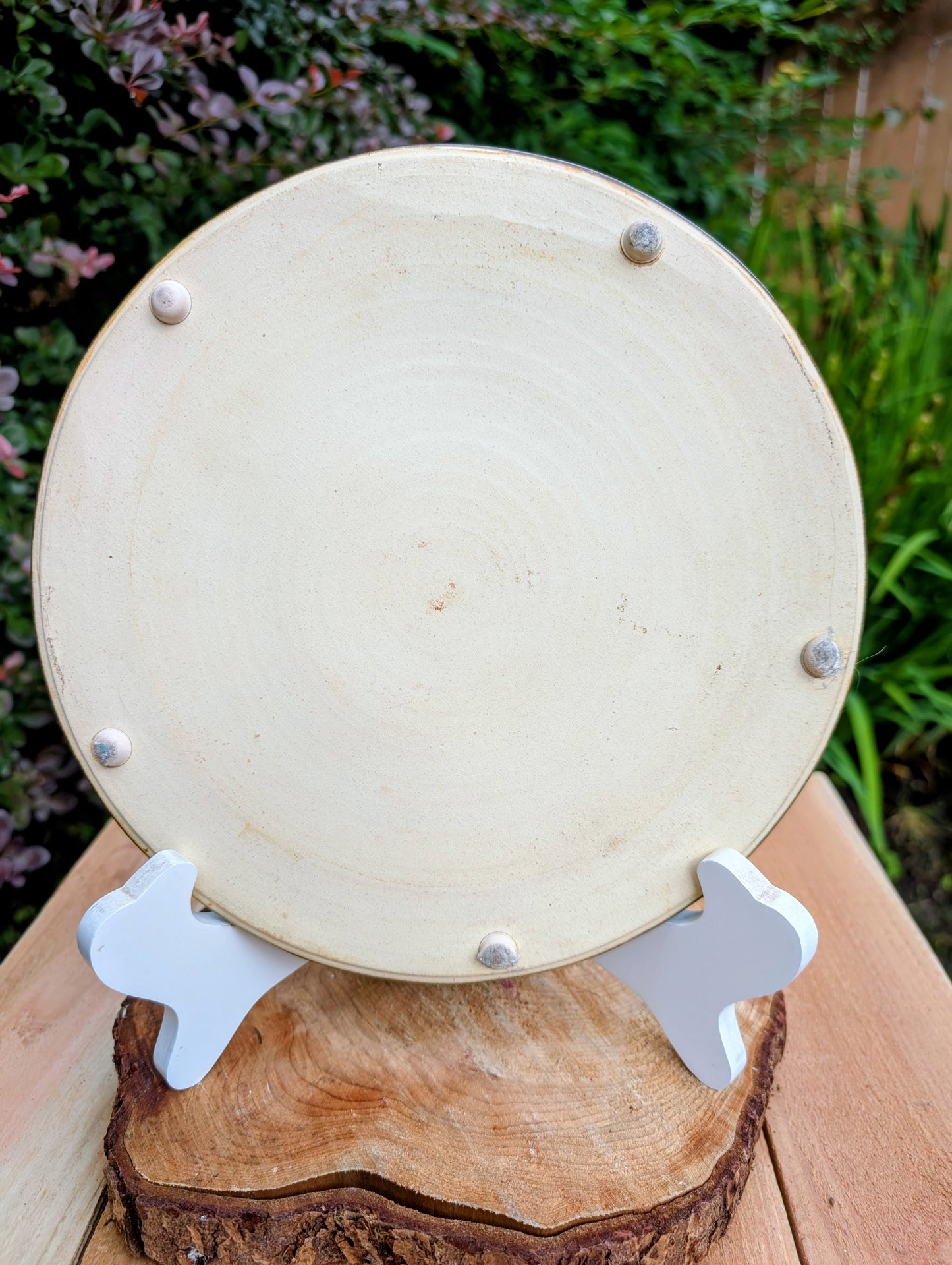 Bring the warmth of the forest to your table with this handcrafted Monroe Salt Works Pine Cone dinner plate. Featuring a classic salt-glazed finish and timeless woodland motif, this beautifully made stoneware piece blends everyday function with rustic New England craftsmanship.
