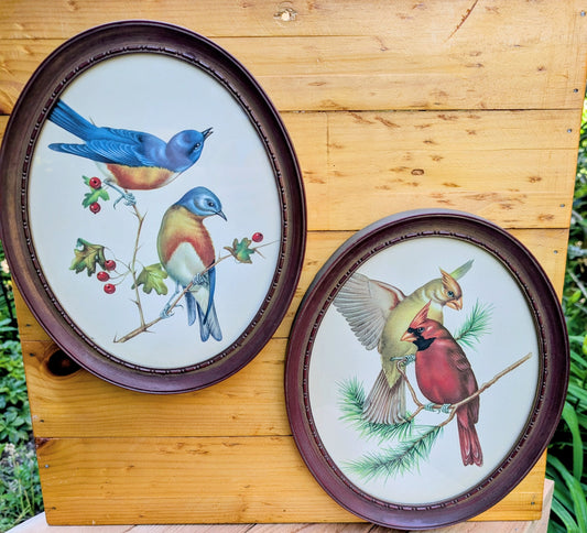 Vintage Framed Bird Print Set | Cardinal & Bluebird Oval Wall Art Pair