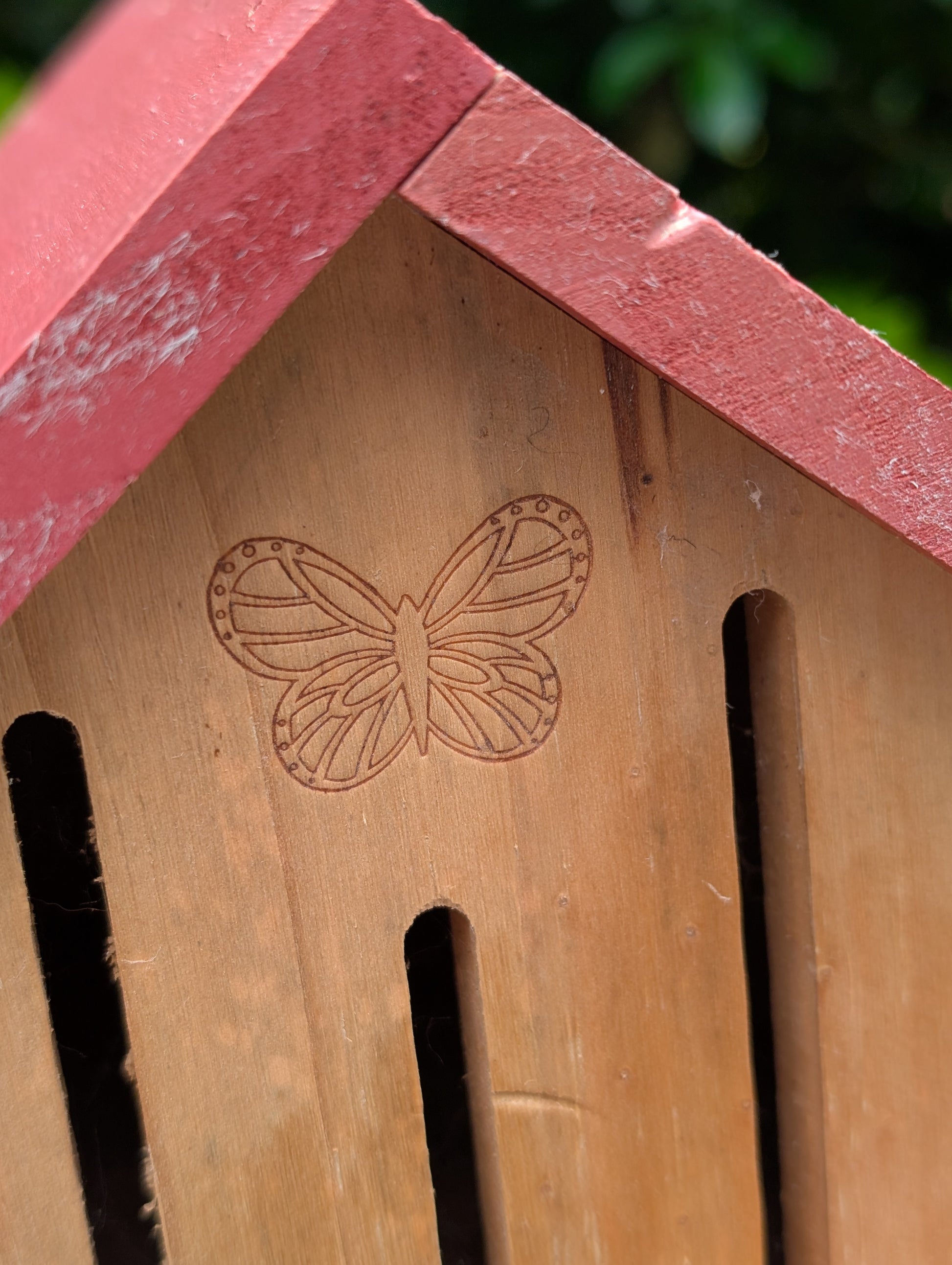Create a welcoming refuge for native pollinators with this multi-chamber wooden insect hotel. Designed for solitary bees, butterflies, and other beneficial insects, it brings both natural beauty and ecological purpose to any garden or patio.