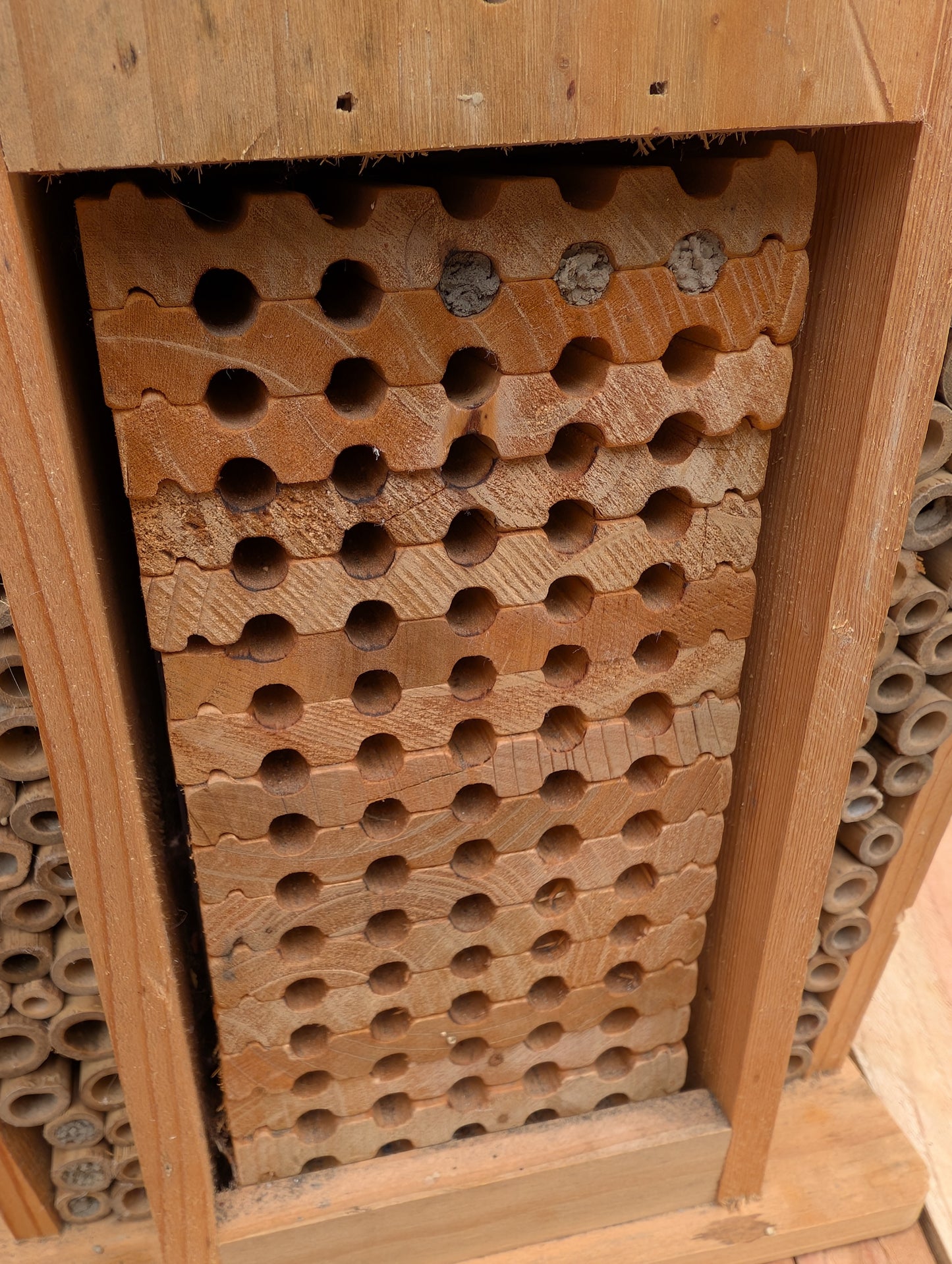 Create a welcoming refuge for native pollinators with this multi-chamber wooden insect hotel. Designed for solitary bees, butterflies, and other beneficial insects, it brings both natural beauty and ecological purpose to any garden or patio.