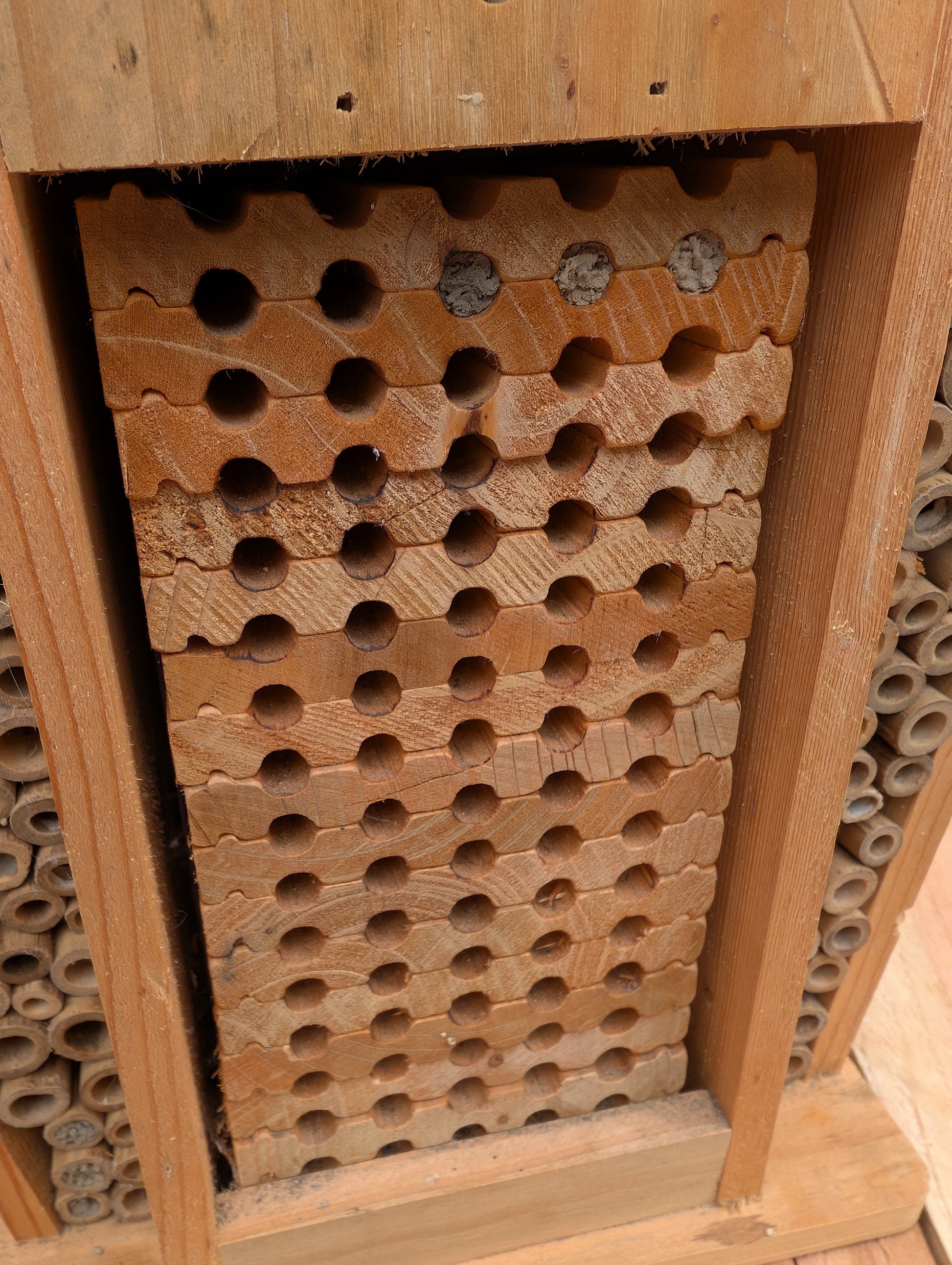 Create a welcoming refuge for native pollinators with this multi-chamber wooden insect hotel. Designed for solitary bees, butterflies, and other beneficial insects, it brings both natural beauty and ecological purpose to any garden or patio.