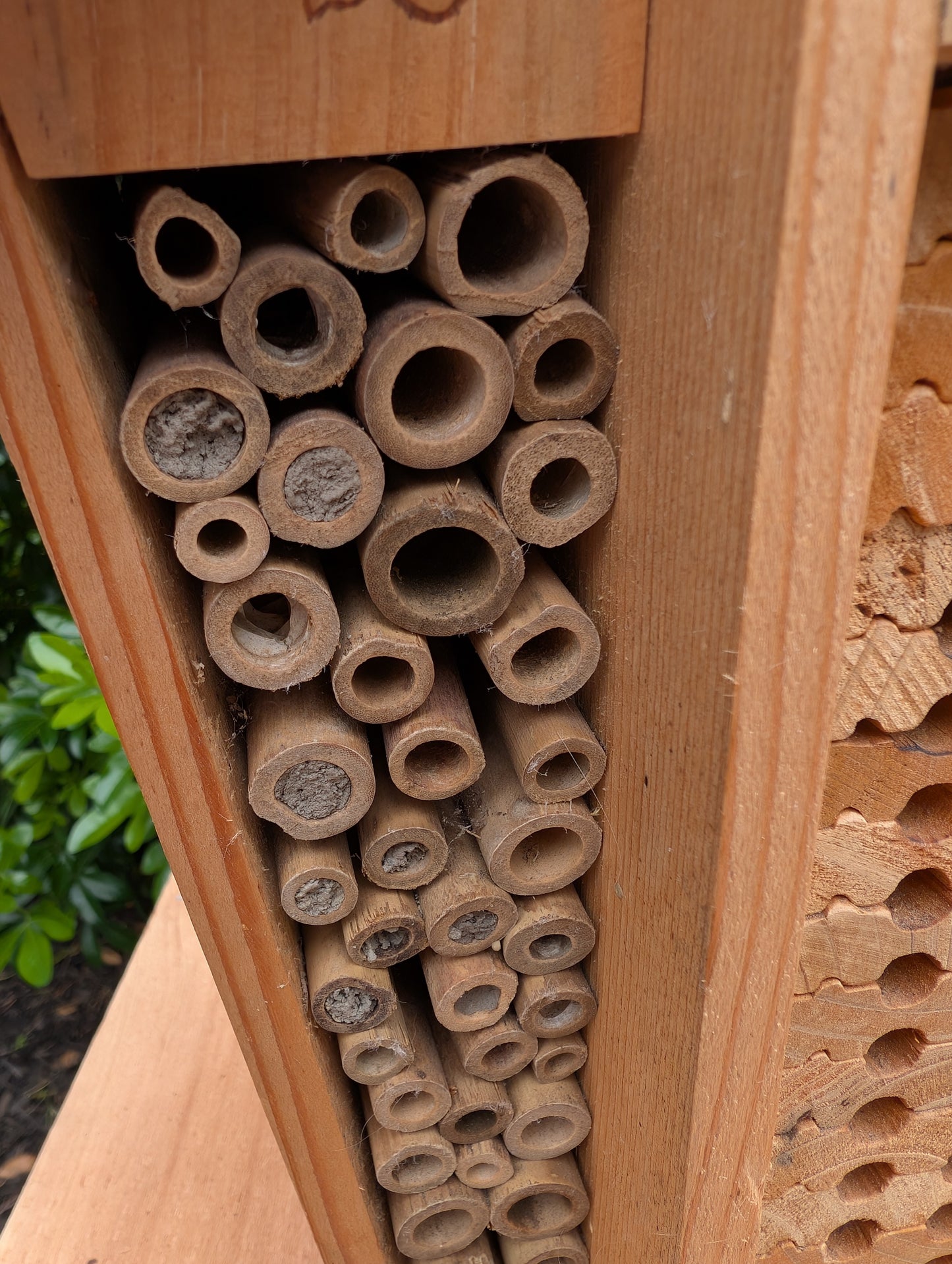Create a welcoming refuge for native pollinators with this multi-chamber wooden insect hotel. Designed for solitary bees, butterflies, and other beneficial insects, it brings both natural beauty and ecological purpose to any garden or patio.