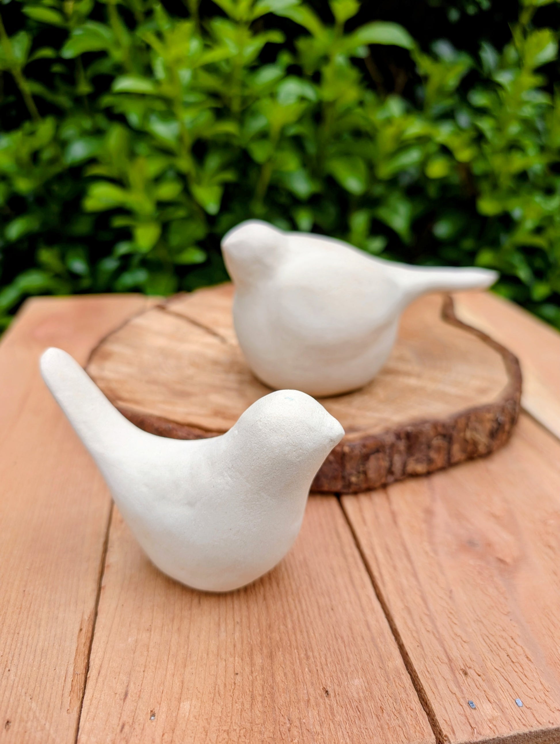 Bring a sense of calm to your home with this charming pair of minimalist ceramic bird figurines. Their soft matte finish and organic silhouettes blend beautifully with Scandinavian, Japanese, and nature-inspired interiors, making them timeless accents for shelves, mantels, and tabletop displays.