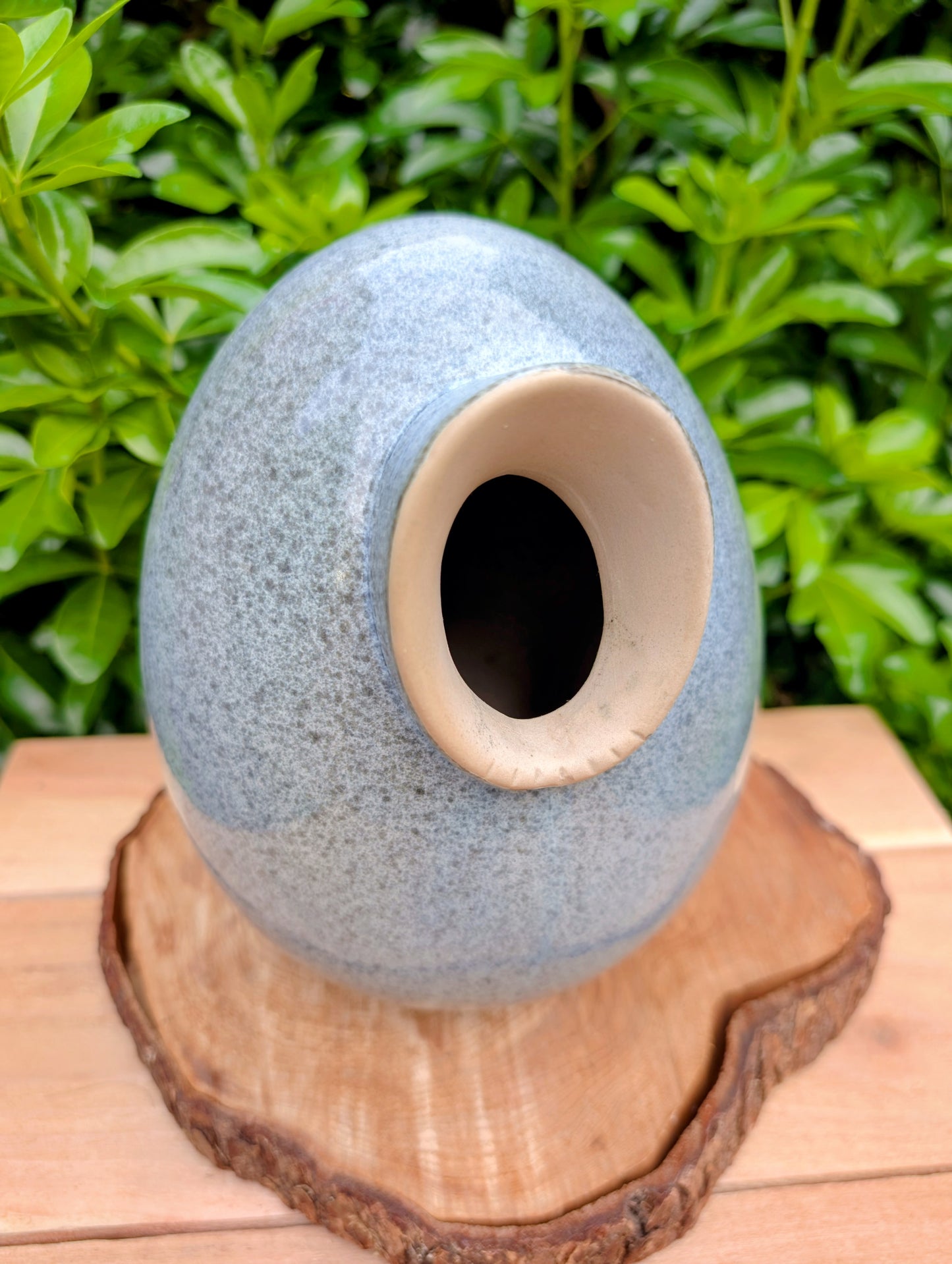 Bring sculptural beauty to your garden with the Alcyon Egg Bird Home by Byer of Maine. Its smooth glazed ceramic finish and distinctive egg-shaped design create a welcoming retreat for small birds while adding timeless charm to any outdoor space.