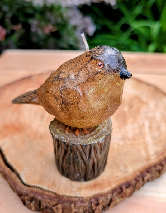 Bring a touch of woodland charm to your home with this vintage novelty bird-on-stump wax candle. Featuring a hand-painted songbird perched atop a sculpted tree stump, this decorative piece captures the cozy spirit of cabin living and Pacific Northwest-inspired décor.