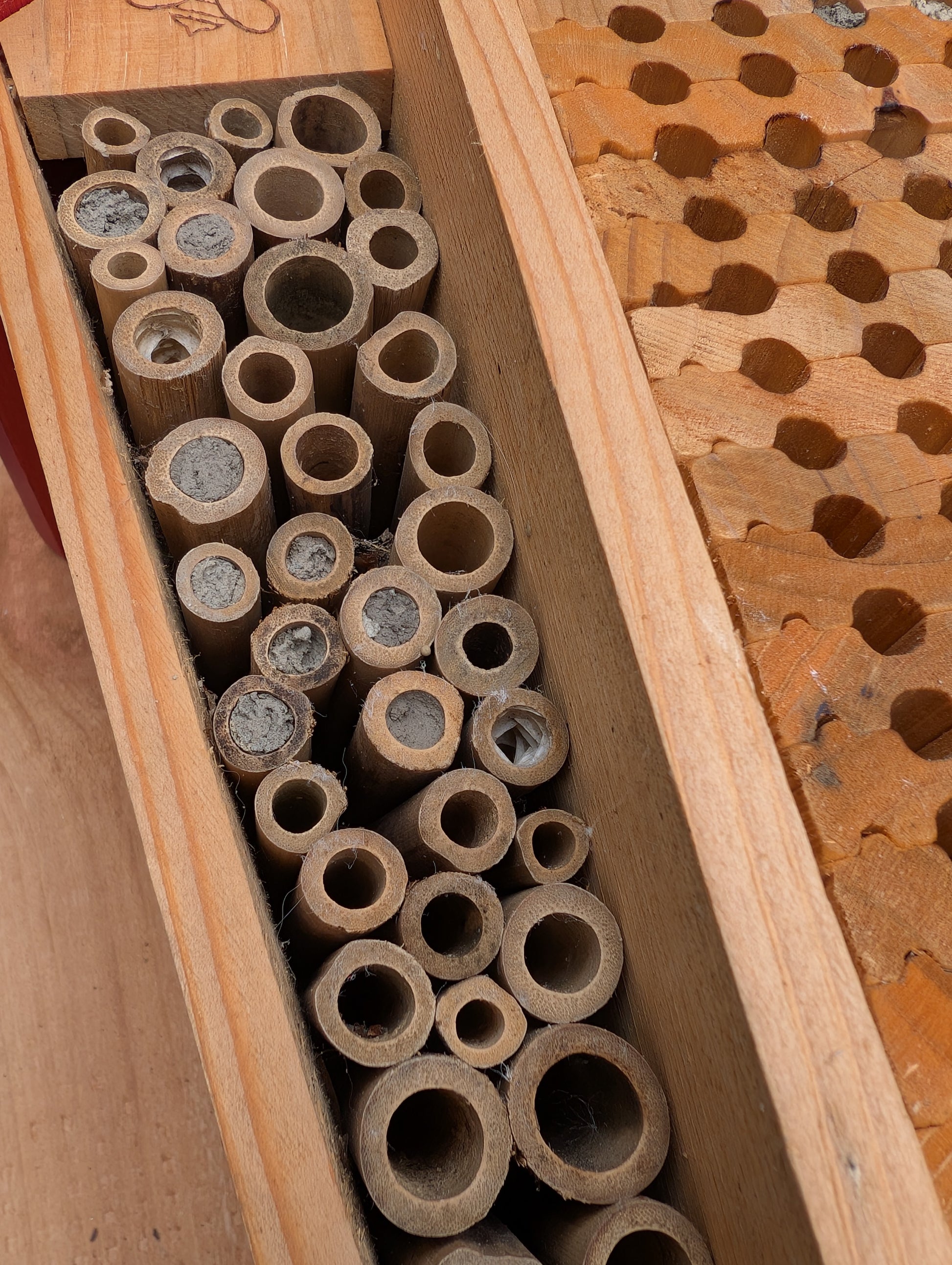 Create a welcoming refuge for native pollinators with this multi-chamber wooden insect hotel. Designed for solitary bees, butterflies, and other beneficial insects, it brings both natural beauty and ecological purpose to any garden or patio.