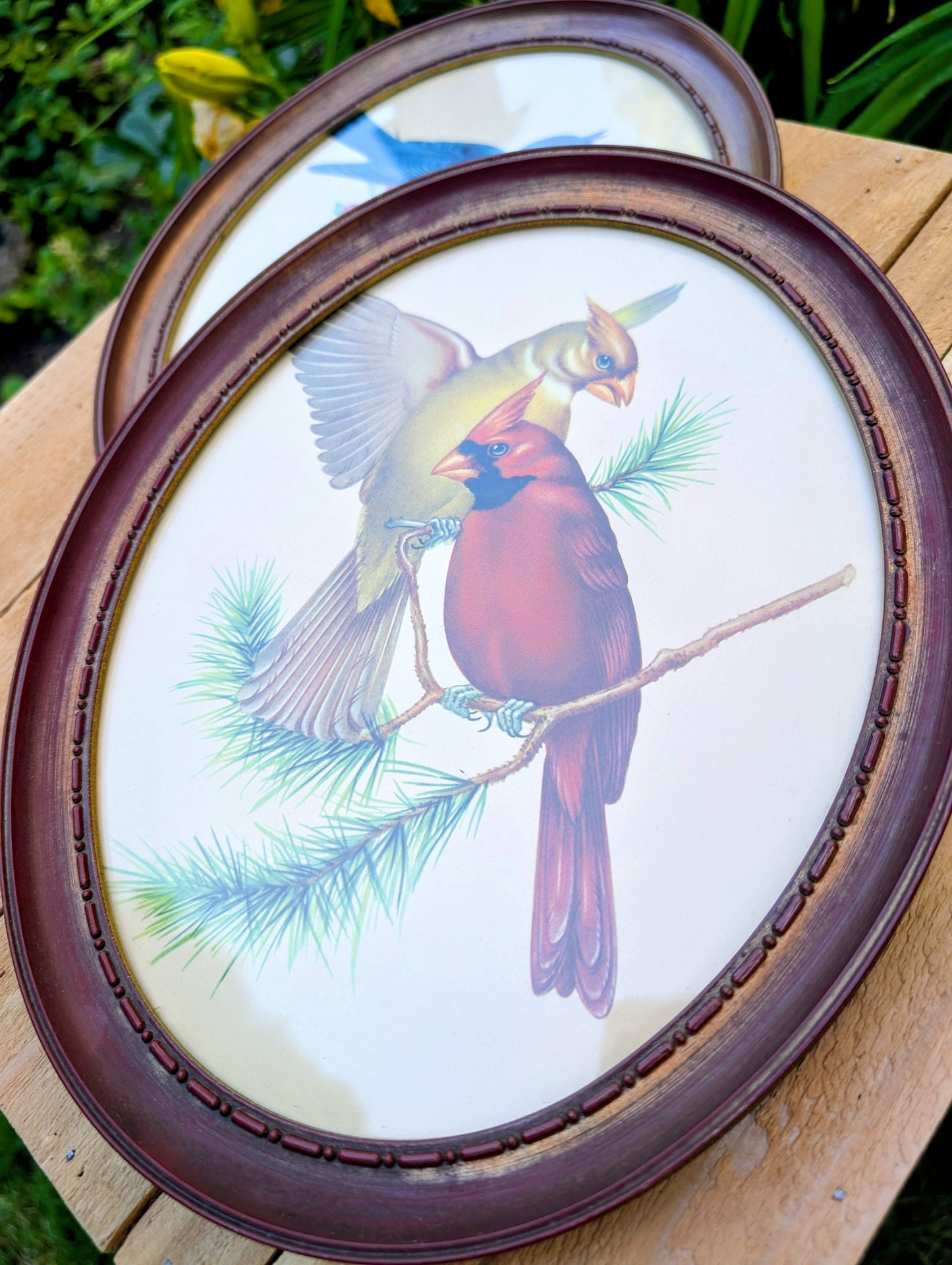 Vintage Framed Bird Print Set | Cardinal & Bluebird Oval Wall Art Pair