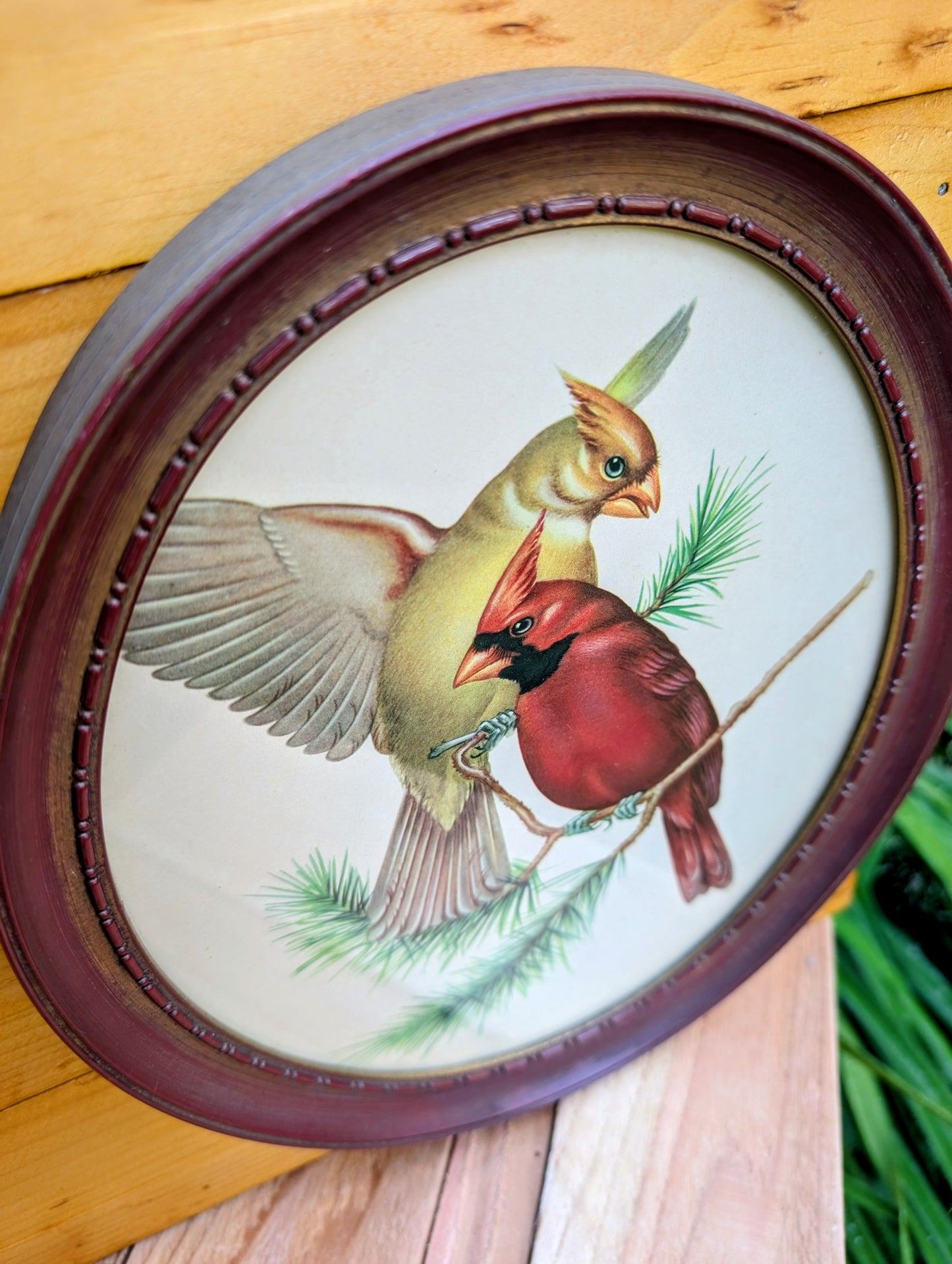 Vintage Framed Bird Print Set | Cardinal & Bluebird Oval Wall Art Pair