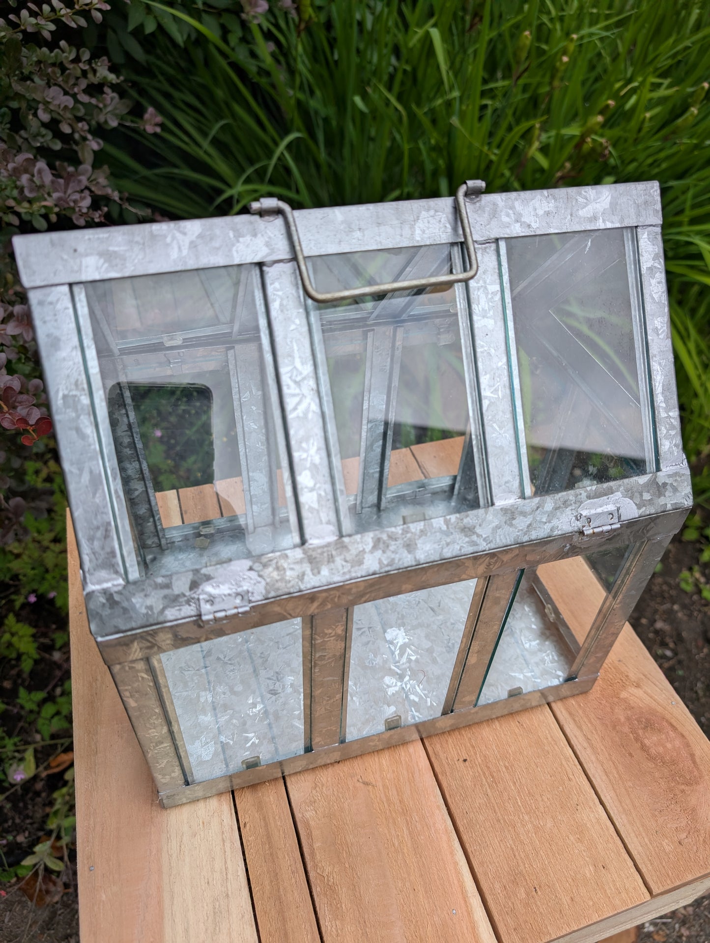 Bring the charm of a Victorian conservatory indoors with this decorative galvanized metal and glass tabletop greenhouse. Perfect for displaying succulents, moss gardens, candles, seasonal décor, or treasured collectibles, it adds timeless botanical style to any room.